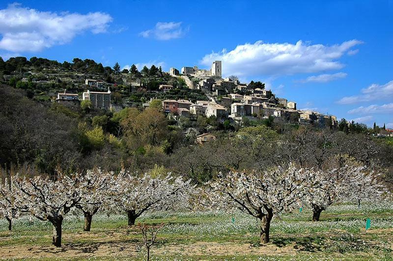 Gite Des Taillades Les Taillades エクステリア 写真